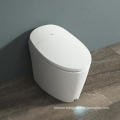 Automatic bidet smart intelligent toilet cover Ground Mounted